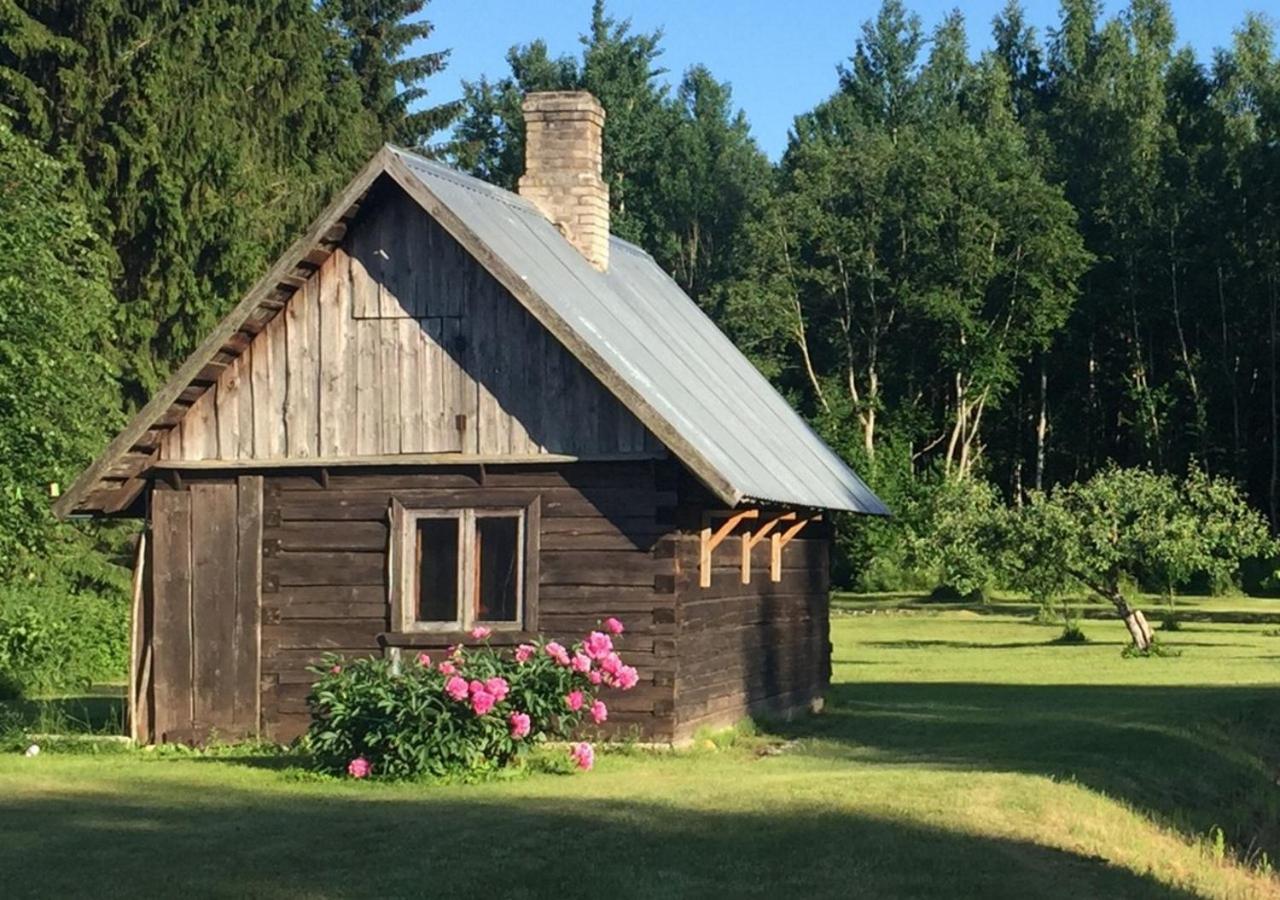 Peipsi Caravani Puhkemaja Nina Exterior photo