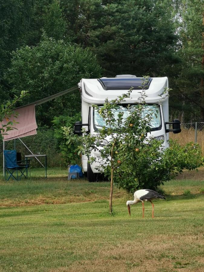 Peipsi Caravani Puhkemaja Nina Exterior photo
